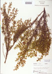 000004049-thumbnail.jpg