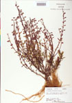 000004055-thumbnail.jpg