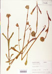 000004058-thumbnail.jpg