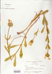 000004059-thumbnail.jpg
