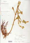 000004061-thumbnail.jpg
