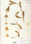 000004063-thumbnail.jpg