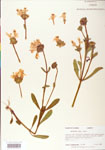 000004064-thumbnail.jpg