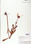 000004065-thumbnail.jpg
