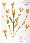000004067-thumbnail.jpg