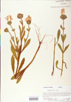 000004068-thumbnail.jpg