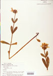 000004069-thumbnail.jpg
