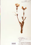 000004070-thumbnail.jpg