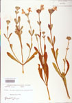 000004072-thumbnail.jpg