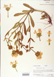 000004075-thumbnail.jpg