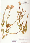 000004078-thumbnail.jpg