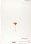 000004131-thumbnail.jpg