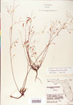 000004136-thumbnail.jpg