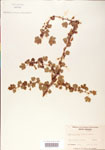 000004175-thumbnail.jpg