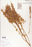 000004182-thumbnail.jpg