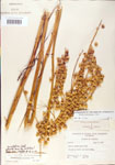000004183-thumbnail.jpg