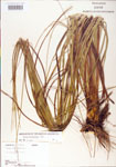 000004185-thumbnail.jpg