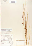 000004187-thumbnail.jpg