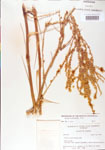 000004189-thumbnail.jpg