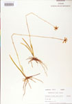 000004212-thumbnail.jpg