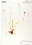 000004213-thumbnail.jpg
