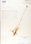 000004214-thumbnail.jpg