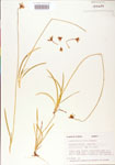 000004215-thumbnail.jpg