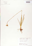 000004216-thumbnail.jpg
