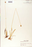 000004219-thumbnail.jpg