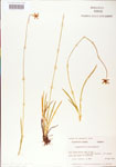 000004220-thumbnail.jpg