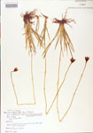 000004221-thumbnail.jpg