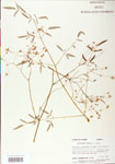 000004337-thumbnail.jpg