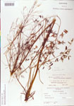 000004340-thumbnail.jpg