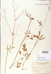 000004347-thumbnail.jpg