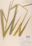 000004413-thumbnail.jpg