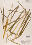000004414-thumbnail.jpg