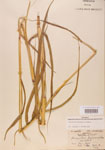 000004415-thumbnail.jpg