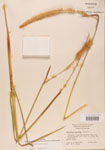 000004417-thumbnail.jpg