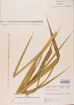 000004418-thumbnail.jpg