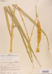 000004422-thumbnail.jpg