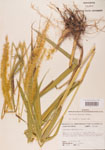 000004423-thumbnail.jpg