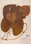 000004448-thumbnail.jpg
