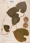 000004449-thumbnail.jpg