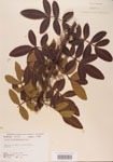 000004469-thumbnail.jpg