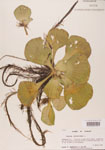 000004492-thumbnail.jpg