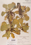 000004495-thumbnail.jpg