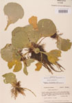 000004497-thumbnail.jpg
