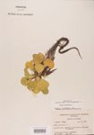000004498-thumbnail.jpg
