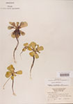 000004501-thumbnail.jpg