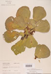 000004504-thumbnail.jpg
